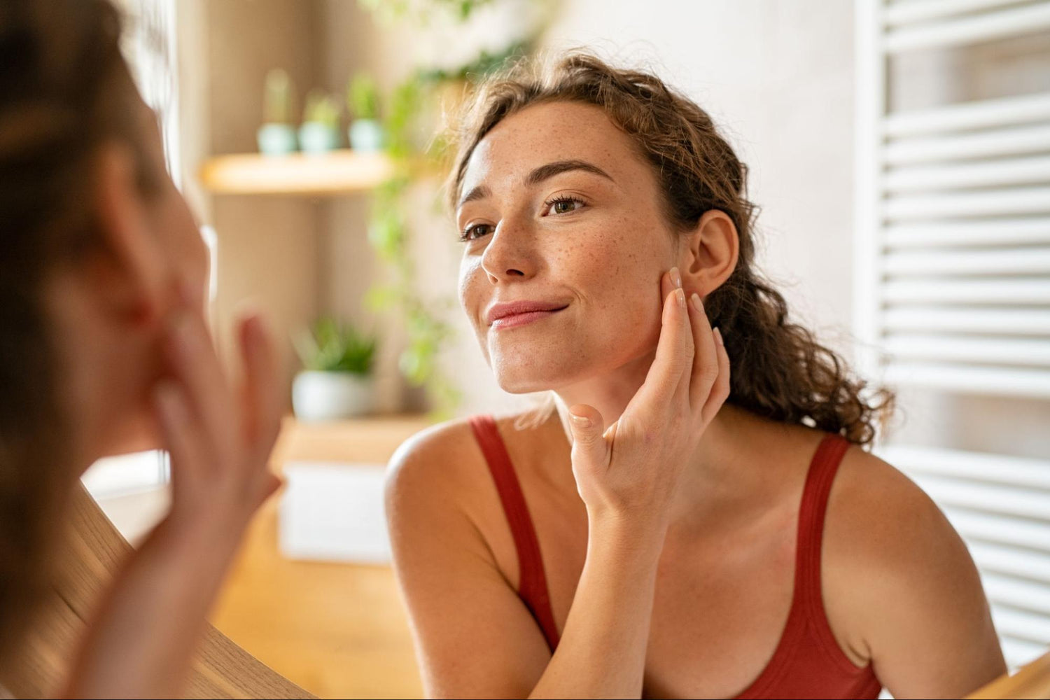 Mimosa Extract Benefits For Sensitive Skin