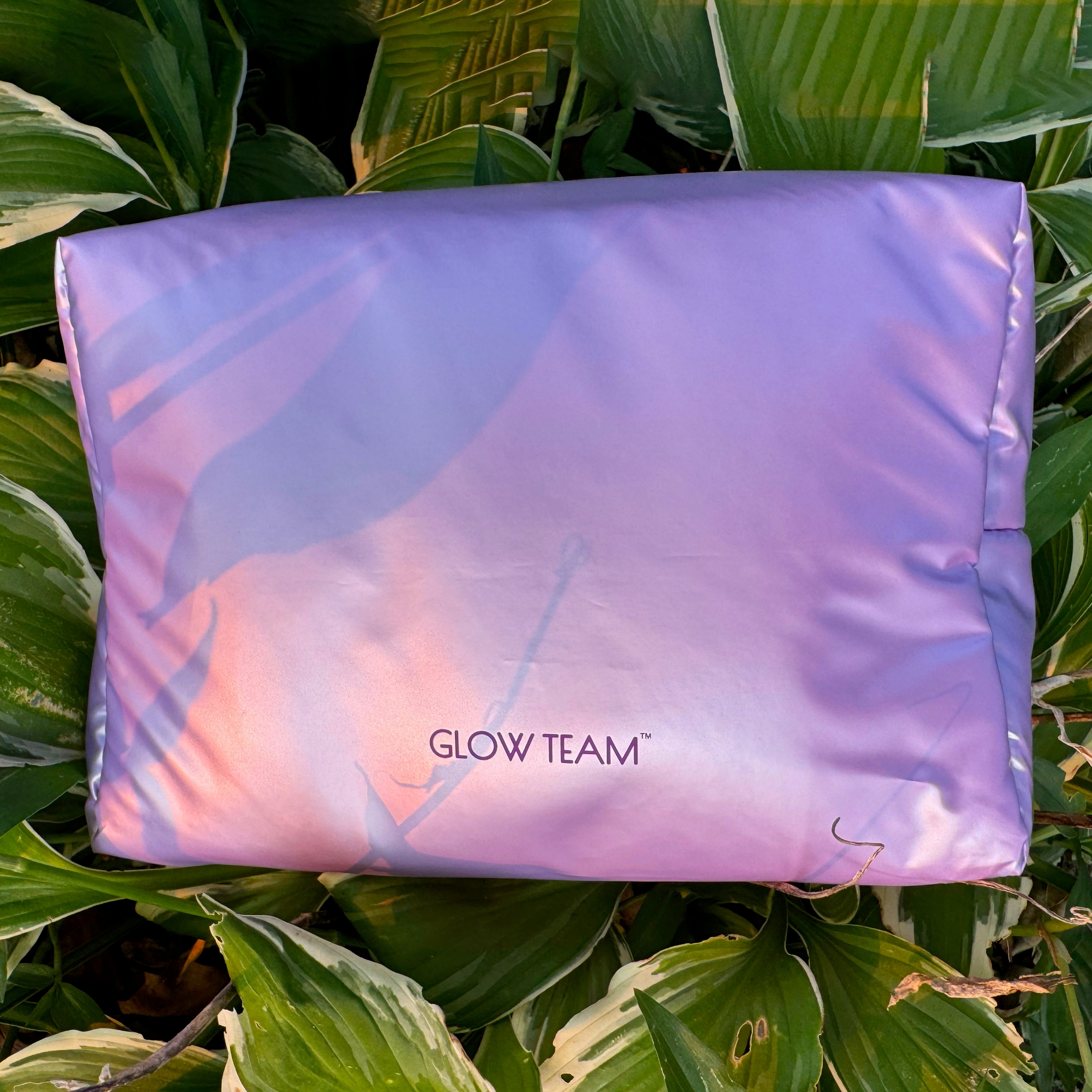 Glow Team Perfect Purple Makeup Bag